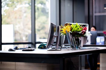 Pullman Sydney Airport - Sunshine Coast Guide 12