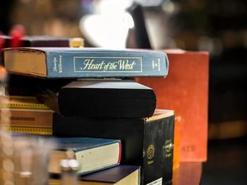 Pullman Sydney Airport - Sunshine Coast Guide 76