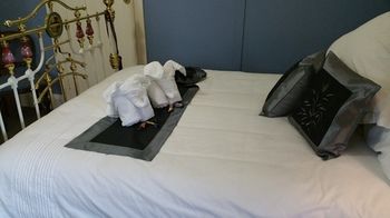 Coppers Hill Private Accommodation - Sunshine Coast Guide 23