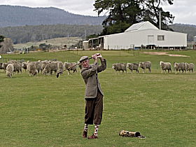 Bothwell Camping Ground - Sunshine Coast Guide 1