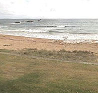 Penguin Caravan Park - Sunshine Coast Guide