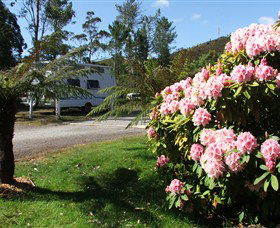 Zeehan Bush Camp  And Caravan Park - Sunshine Coast Guide 0