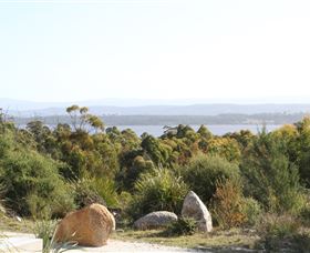 Aplite House - Sunshine Coast Guide 4