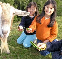 Johanna River Farm and Self Contained Cottages - Sunshine Coast Guide
