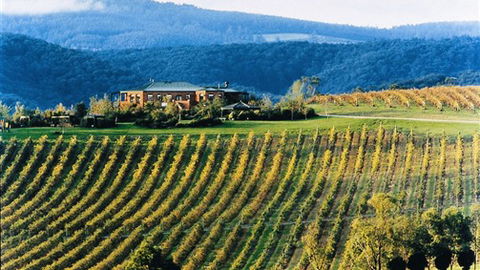 Yering Gorge Cottages - Sunshine Coast Guide 1