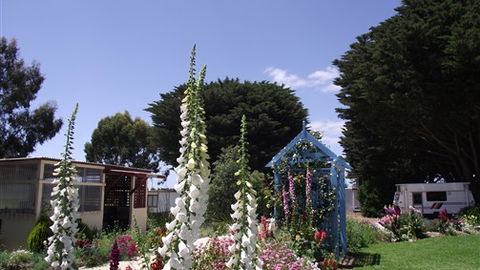 Colac Otway Caravan & Cabin Park - Sunshine Coast Guide 1