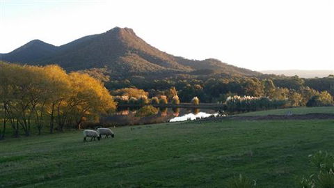 Cathedral Valley Farm - Sunshine Coast Guide 2