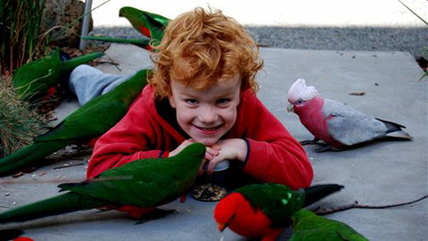 Around About Lorne Studios Or B&B - Sunshine Coast Guide 3