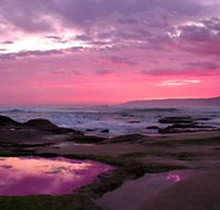 Blue Johanna Cottages - Sunshine Coast Guide