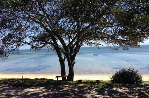 Adams Beach Camping Ground - Sunshine Coast Guide 0