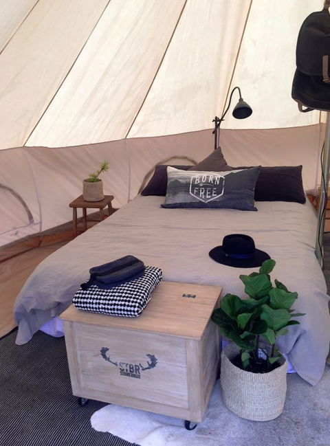 Adams Beach Camping Ground - Sunshine Coast Guide 3