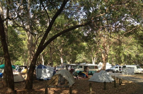 Adder Rock Camping Ground - Sunshine Coast Guide 0