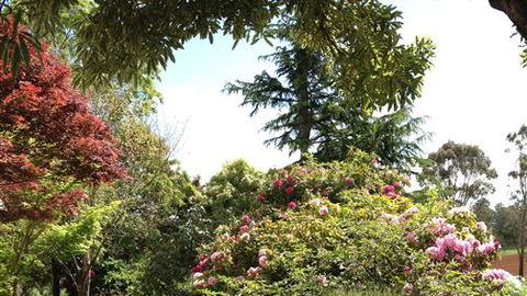 Chestnut Springs - Sunshine Coast Guide 2
