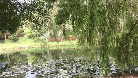 Chestnut Springs - Sunshine Coast Guide 7