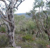 The Glen - Sunshine Coast Guide