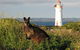 Port Fairy YHA - thumb 2