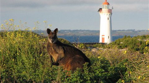 Port Fairy YHA - Sunshine Coast Guide 2