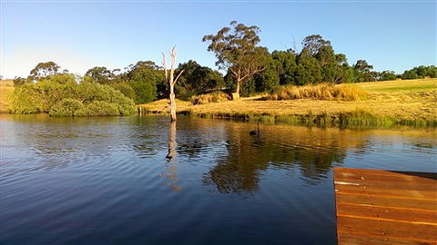 Cygnet Park Country Retreat - Sunshine Coast Guide 4