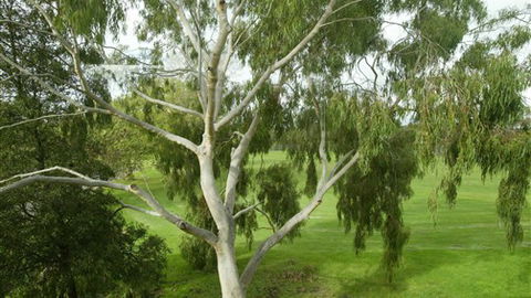Parkside Stay Clifton Hill - Sunshine Coast Guide 2
