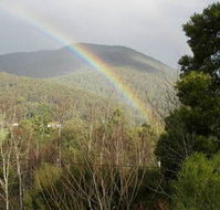 Wattletree Cottage - Sunshine Coast Guide