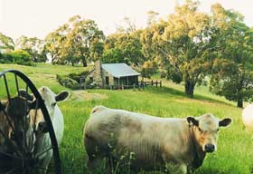 Adelaide Hills Country Cottages - Gum Tree Cottage - Sunshine Coast Guide 1
