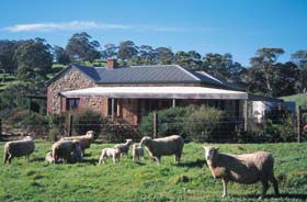 Amanda Stichbury Cottage - Sunshine Coast Guide 0