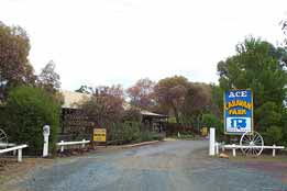 Ace Caravan Park - Sunshine Coast Guide 0