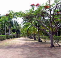 Alva Beach Tourist Park - Sunshine Coast Guide