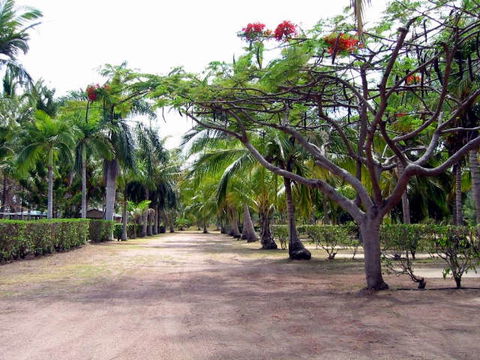 Alva Beach Tourist Park - Sunshine Coast Guide 0