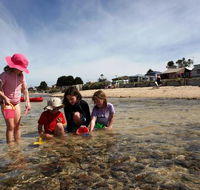 Bellarine Bayside Holiday Parks - Anderson Reserve - Sunshine Coast Guide
