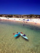 North Narrabeen NSW Sunshine Coast Guide