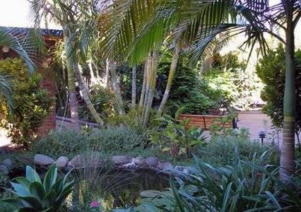 Comfort Inn Bert Hinkler - Sunshine Coast Guide 3