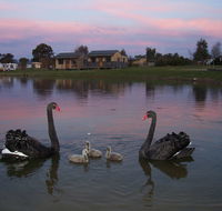 Mansfield Holiday Park - Sunshine Coast Guide