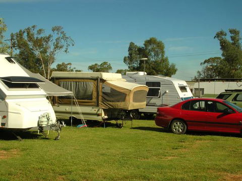 Crocodile Caravan  & Camping Park - Sunshine Coast Guide 0