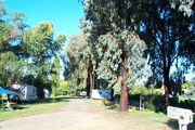 Cudal Caravan Park - Sunshine Coast Guide 0