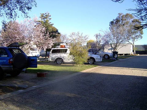 Horseshoe Motor Village Caravan Park - Sunshine Coast Guide 1