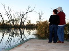 Kingston-On-Murray Caravan Park - Sunshine Coast Guide 2
