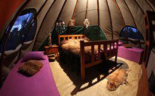 Aranyani Bison Adventure Tourist Park - Sunshine Coast Guide 0