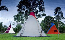 Aranyani Bison Adventure Tourist Park - Sunshine Coast Guide 1