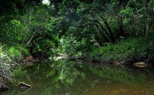 Aranyani Bison Adventure Tourist Park - Sunshine Coast Guide 3