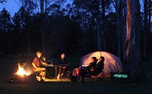 Aranyani Bison Adventure Tourist Park - Sunshine Coast Guide 2
