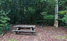 Coombadjha Campground - Sunshine Coast Guide 1
