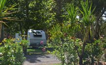Darlington Point Riverside Caravan Park - Sunshine Coast Guide 1