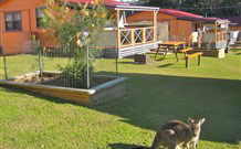 Durras Lake North Holiday Park - Sunshine Coast Guide 1