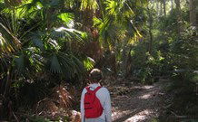 Durras Lake North Holiday Park - Sunshine Coast Guide 7
