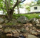 Mt Warning Rainforest Park - Sunshine Coast Guide