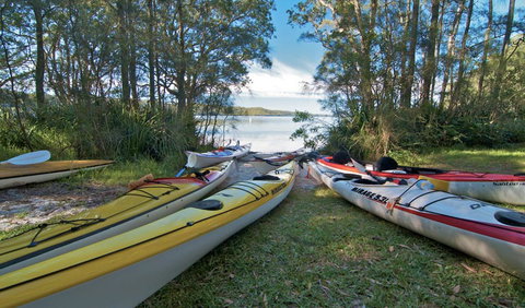 Neranie Campground - Sunshine Coast Guide 1