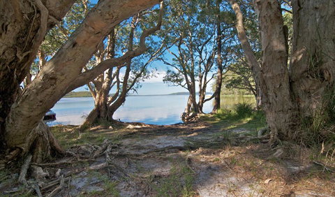 Neranie Campground - Sunshine Coast Guide 0