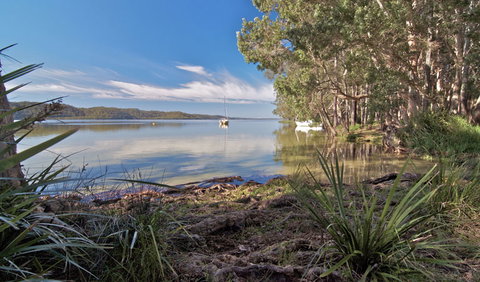 Neranie Campground - Sunshine Coast Guide 2