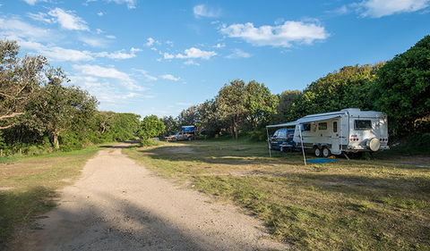 Racecourse Campground - Sunshine Coast Guide 0